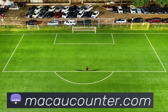 大阳城娱乐网站(中国)官方网站发展历程